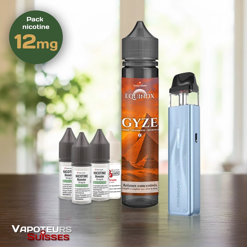 Laden Sie das Bild in Galerie -Viewer, Pack débutant 7 - 12mg - Embout Plat - Fruité