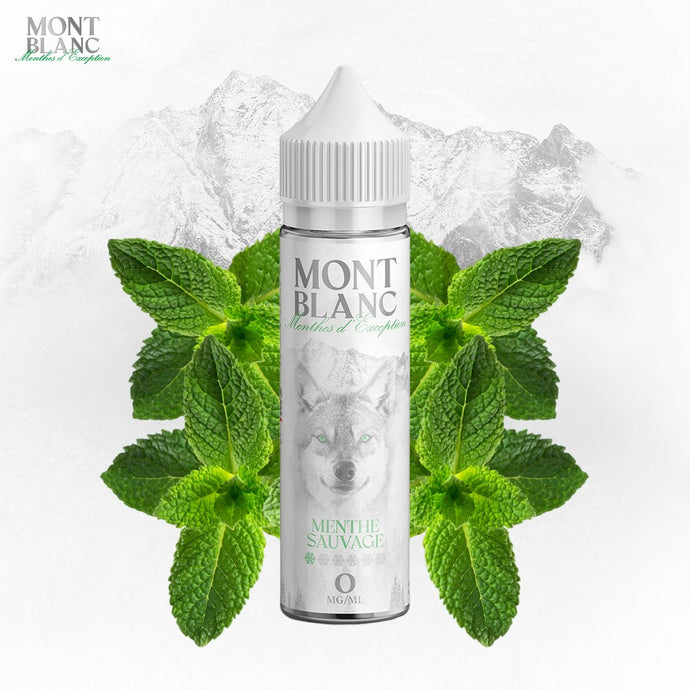 E-liquide | Mont Blanc 