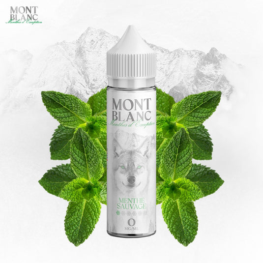 E-liquide | Mont Blanc 