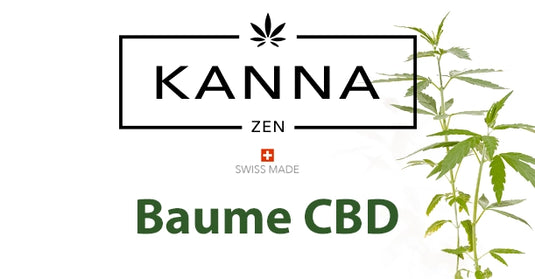 CBD-Balsam