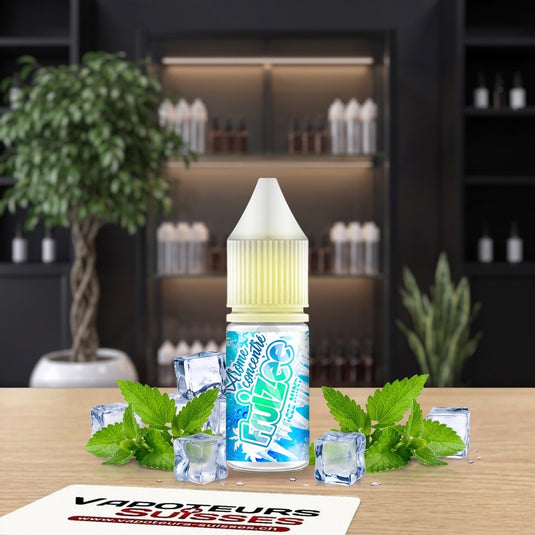 Arôme DiY Fruizee Icee Mint 10 ml - Vapoteurs Suisses