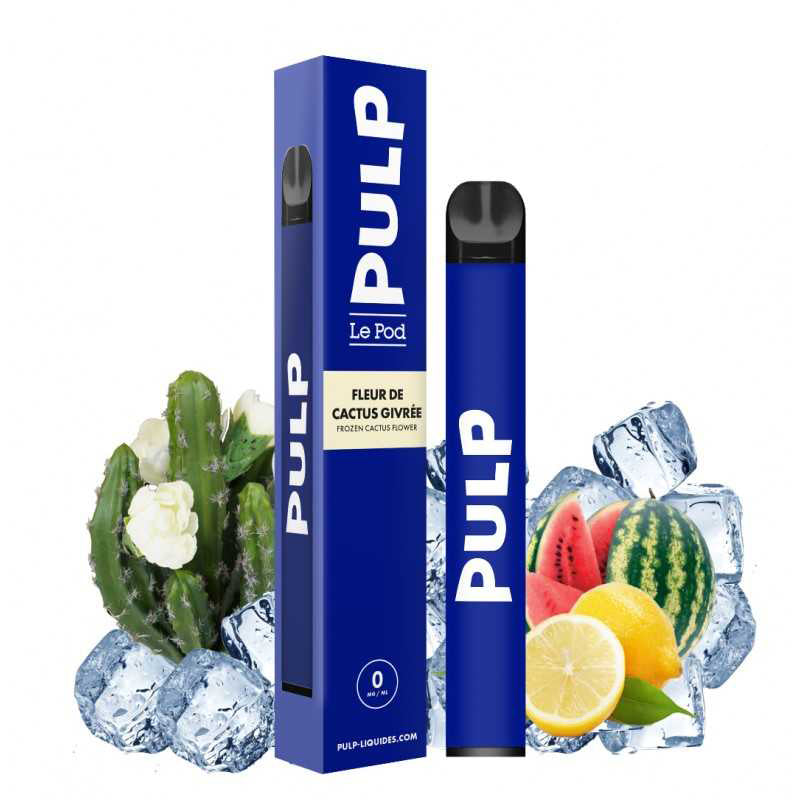 Chargez l&#39;image dans la visionneuse de la galerie, E-cig jetable | Fleur de Cactus Givrée - Vapoteurs Suisses
