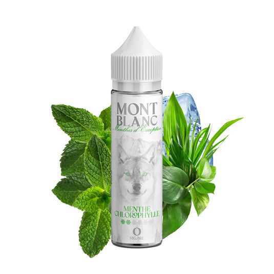 E-liquide | Mont Blanc 
